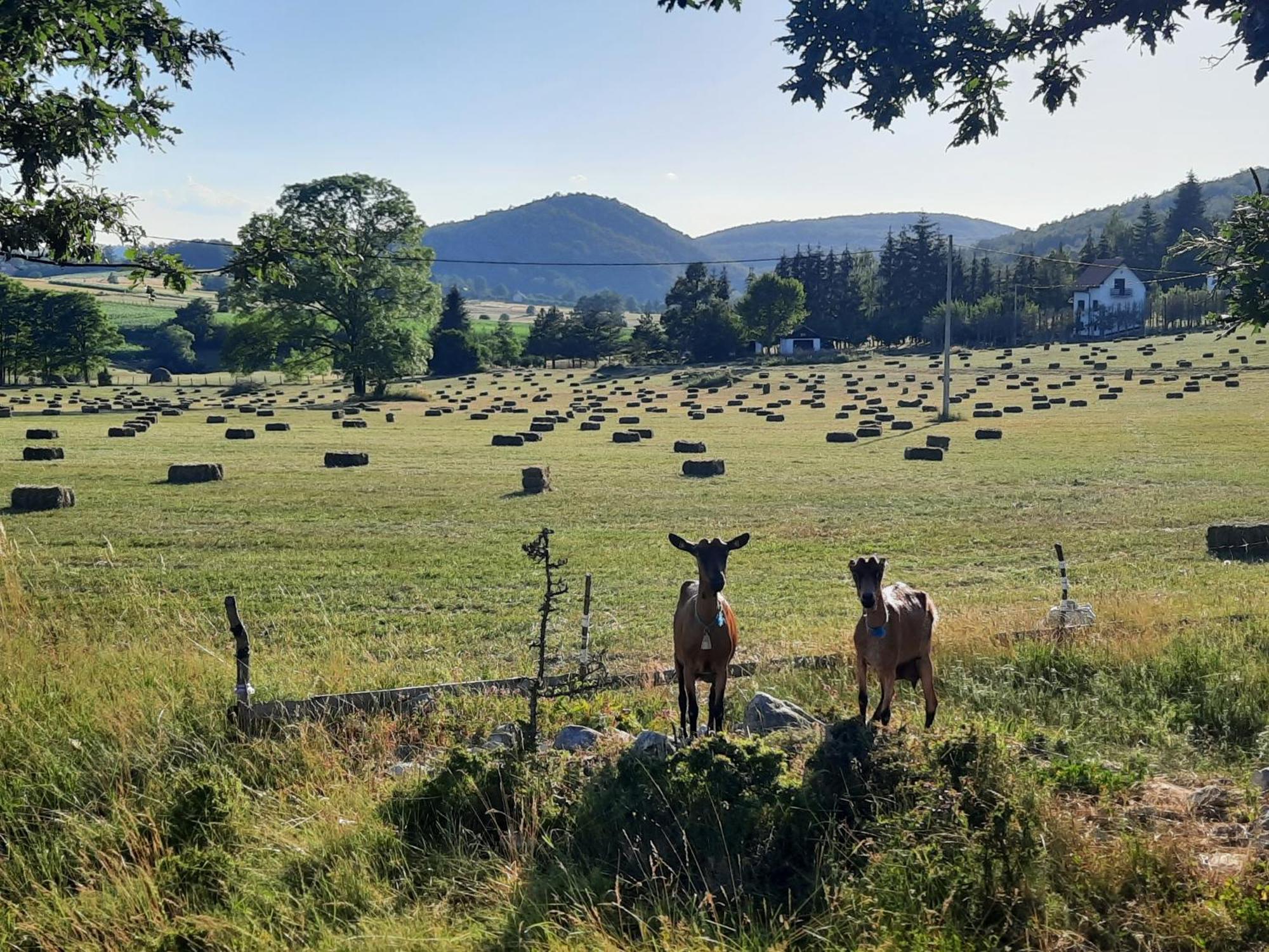 Seoski Turizam Melovic Rozanstvo Exterior foto