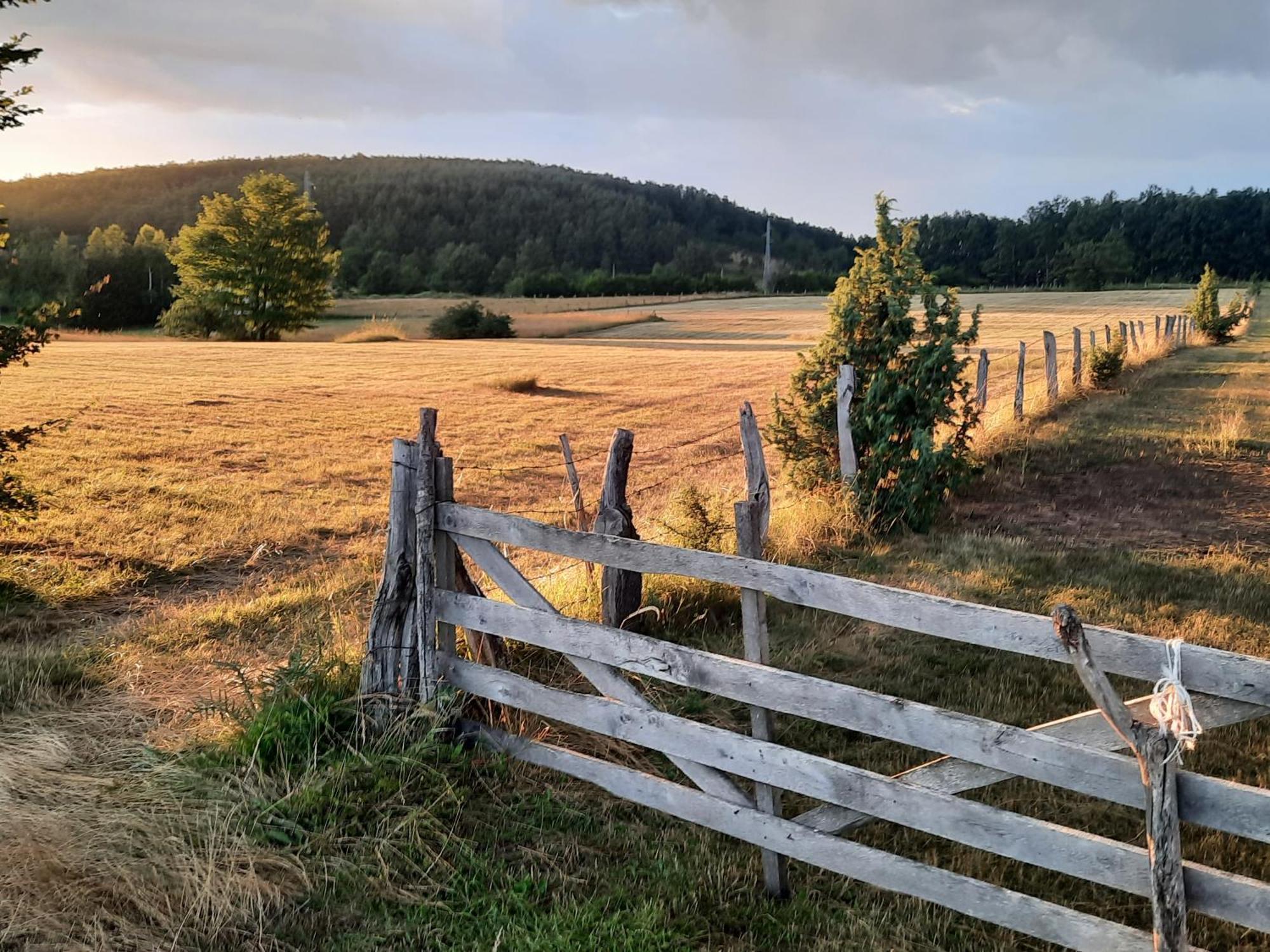 Seoski Turizam Melovic Rozanstvo Exterior foto